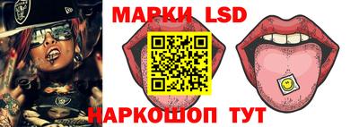 прущие грибы Новозыбков