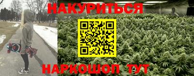 прущие грибы Новозыбков