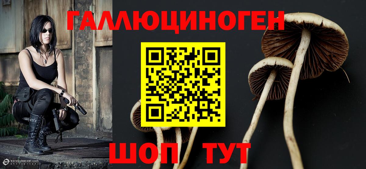 Галлюциногенные грибы мухоморы Сокол