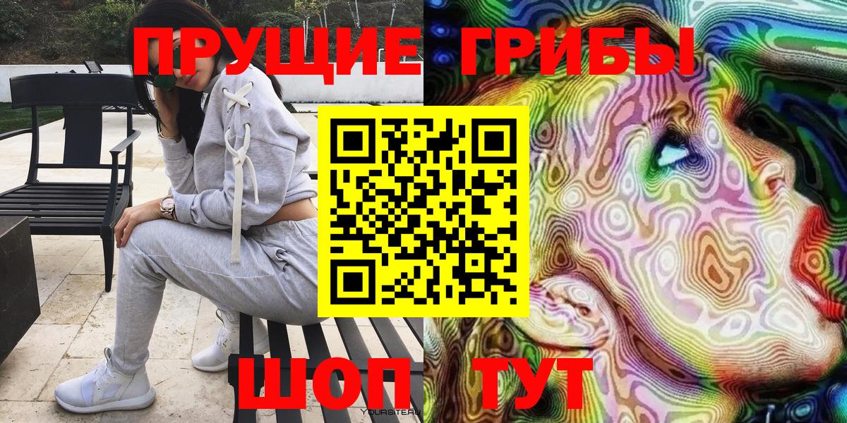 Сокол  Галлюциногенные грибы Psilocybine cubensis  Вход с VPN 